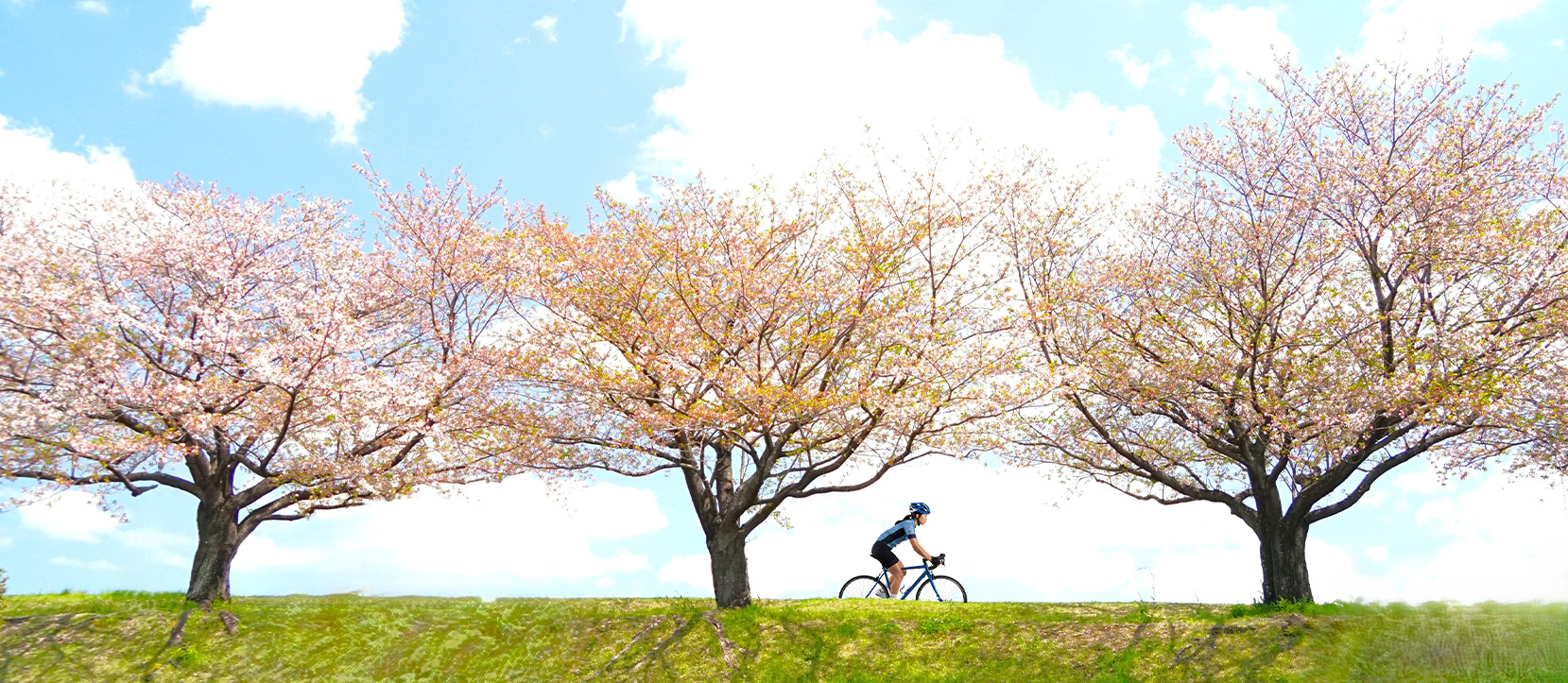 關於我們主視覺