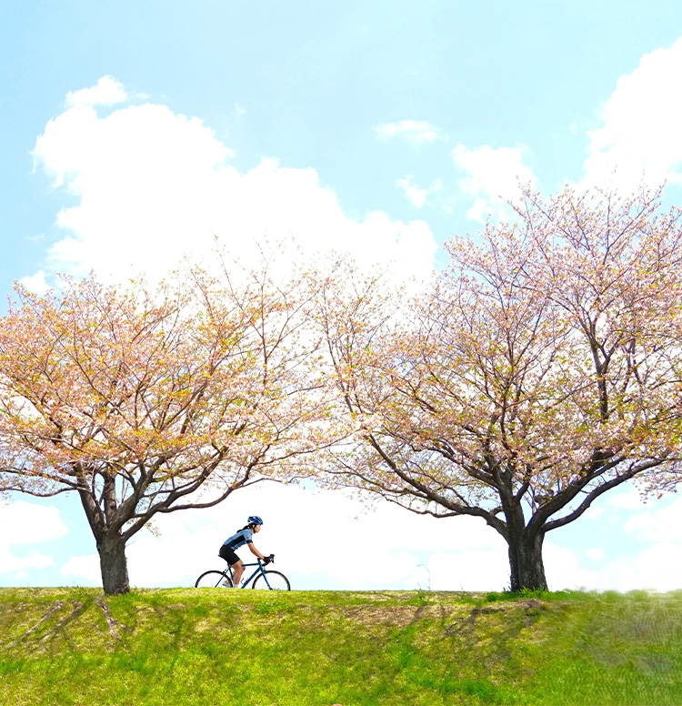 關於我們主視覺